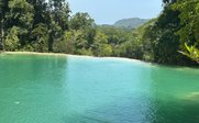 Teich im Palenque Regenwald - Mexiko Rundreise mit Jugendlichen