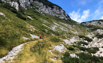 Zwei Wanderer in roten Shirts gehen einen schmalen Pfad durch eine grüne Berglandschaft mit blühenden Pflanzen.