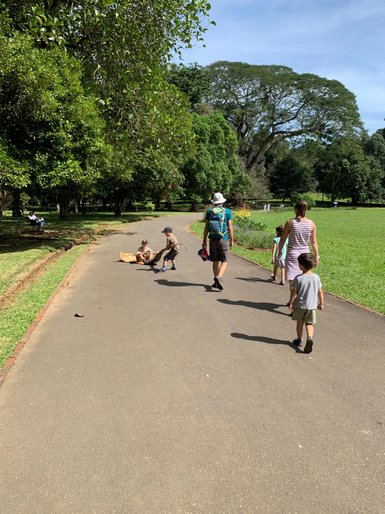 Familie spaziert durch den Botanischen Garten in Peradeniya – Sri Lanka Familienreise