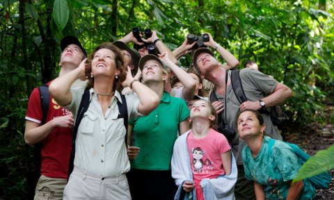 Familien beobachten aufmerksam die Tierwelt mit Ferngläsern im Regenwald – Costa Rica Familienreise