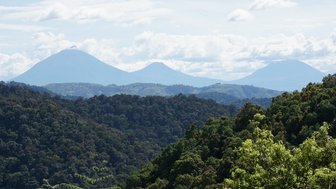 Drei majestätische Vulkane erheben sich über eine üppige, grüne Landschaft unter einem klaren, blauen Himmel.
