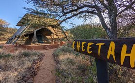 Ein moderner, schräg gebauter Unterstand in der Natur, umgeben von Sträuchern und Bäumen, mit einem Weg, der dorthin führt.