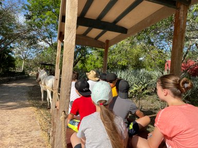 Reisegruppe unternimmt eine traditionelle Maultierfahrt über die Hacienda Sotuta de Peón – Mexiko Familienreise