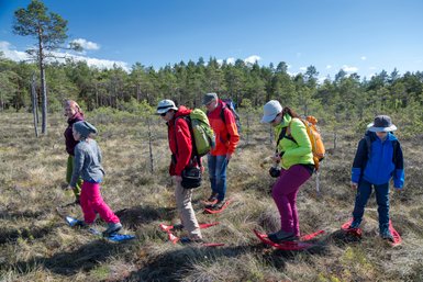 Eine Gruppe wandert mit passenden Schuhen durch ein Moor