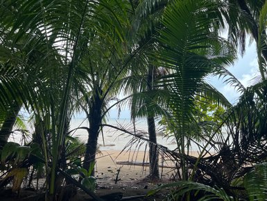 Traumhafter Strand mit Palmen im Corcovado-Nationalpark – Costa Rica mit Kindern