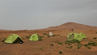 Grüne Zelte stehen in einer trockenen Wüstenlandschaft, umgeben von sanften Sanddünen und grauem Himmel.