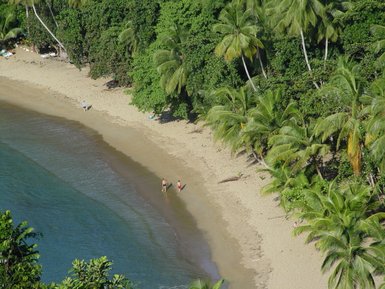 Ein sonniger Strand mit Palmen, wo zwei Kinder im Wasser spielen und ein Erwachsener am Ufer entlang spaziert.