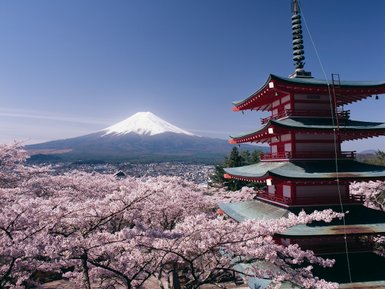 Der Fuji erhebt sich majestätisch hinter der roten Chureito-Pagode, umgeben von blühenden Kirschbäumen.
