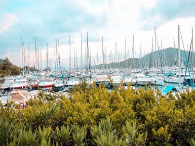Ein geschäftiger Yachthafen mit zahlreichen Booten, umgeben von grünen Pflanzen und sanften Hügeln im Hintergrund.