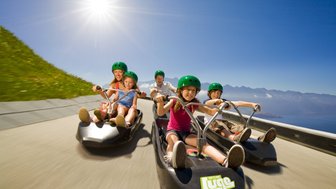 Fünf Kinder und Erwachsene fahren mit Luge-Rutschern eine steile Bahn hinunter, umgeben von einer sonnigen Landschaft.