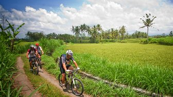 Reisende erkunden die Umgebung von Ubud mit dem Fahrrad – Bali mit Kindern