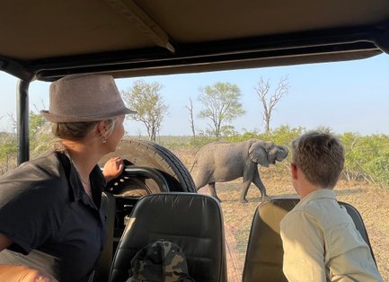 Ein Elefant wandert in der Nähe eines Geländewagens, während ein Kind und eine Frau fasziniert zuschauen.