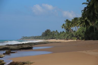 Strandabschnitt mit Palmen und Felsen vor dem Mirissa Beach Inn – Sri Lanka Reise mit Kindern