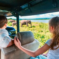 Kinder blicken neugierig aus dem offenen Jeep bei einer Safari im Udawalawe-Nationalpark – Sri Lanka Familienreise