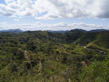 Eine weite Landschaft mit sanften Hügeln, üppigem Grün und einem gewundenen Weg, der durch die Natur führt.