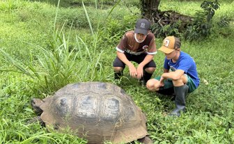 Zwei Kinder beobachten fasziniert eine große Schildkröte, die in einem grünen, bewachsenen Bereich sitzt.