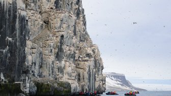 Eine beeindruckende Klippe, die von zahlreichen Vögeln bevölkert ist, während Boote in der Nähe auf dem Wasser schwimmen.