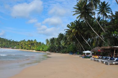 Blick auf den tropischen Strand beim Mirissa Beach Inn mit Palmen – Sri Lanka Familienreise