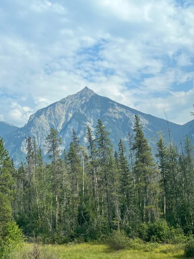 Ein majestätischer Berg erhebt sich über einen dichten Wald aus Nadelbäumen, unter einem klaren, blauen Himmel.