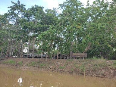 Ruhiger Flusslauf mit umgebenden Bäumen am Kinabatangan – Malaysia & Borneo Reise mit Kindern