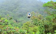 Zipling durch Dschungel - Costa Rica Family & Teens - Costa Rica mit Teenagern