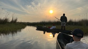 Eine Gruppe von Menschen paddelt in Kanus durch eine ruhige Wasserstraße, umgeben von hohem Gras und einem malerischen Sonnenuntergang.