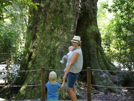 Mutter mit Baby und Kind vor großem Baum im Tsitsikamma Nationalpark – Garden Route Reise mit Kindern
