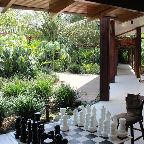 Ein Schachbrett mit schwarzen und weißen Figuren steht in einem tropischen Garten, umgeben von üppigem Grün und Pflanzen.