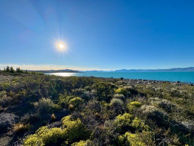 Ein strahlender Sonnenschein über dem Lago Argentino, umgeben von üppiger Vegetation und sanften Hügeln im Hintergrund.