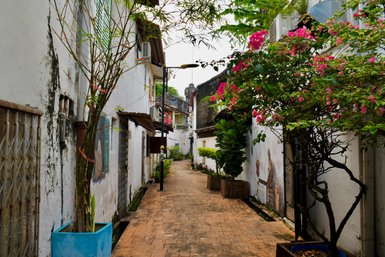 Straße in Malakka mit blühenden Pflanzen und farbenfrohem Flair – Malaysia & Borneo Reise mit Kindern