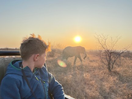 Kind sitzt im Safari-Jeep bei Sonnenuntergang und blickt auf einen Elefanten im Hintergrund – Südafrika Reise mit Kindern