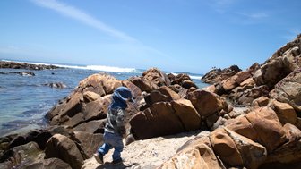 Entdeckungsfreudiges Baby geht vorsichtig über die Felsen an der Küste von Mossel Bay – Garden Route mit Kindern