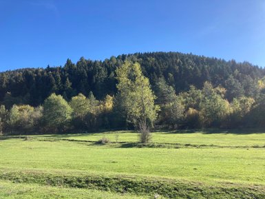 Eine weite, grüne Wiese erstreckt sich vor einem bewaldeten Hügel unter einem strahlend blauen Himmel.