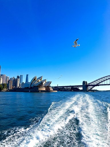 Ein Blick auf das Sydney Opera House, umgeben von strahlend blauem Himmel und glitzerndem Wasser.
