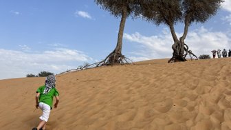 Ein Junge in einem grünen T-Shirt läuft den Sanddünen hinauf, während zwei Bäume im Hintergrund stehen.