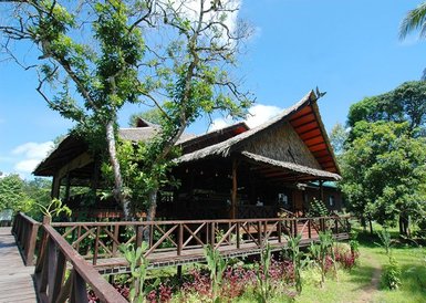 Unterkunft der Bilit Rainforest Lodge mit Veranda inmitten tropischer Vegetation – Malaysia & Borneo Familienreise