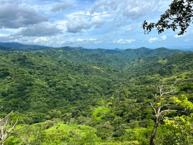 Tropischer Dschungel im Nebelwald von Santa Elena bei Monteverde – Costa Rica Familienreise