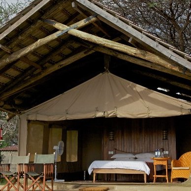 Ein Zelt im Tsavo Ost Nationalpark, umgeben von Bäumen, bietet eine gemütliche Unterkunft mit einem Bett und einem Stuhl.