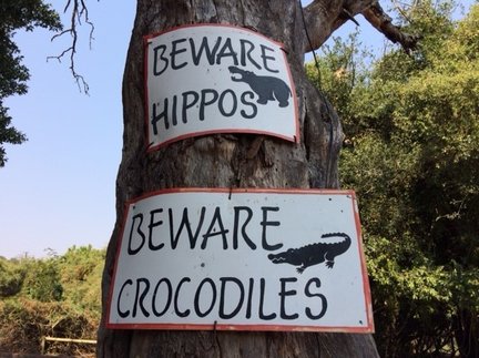 Zwei Warnschilder an einem Baum warnen vor Hippos und Krokodilen, umgeben von üppigem Grün und einem klaren Himmel.