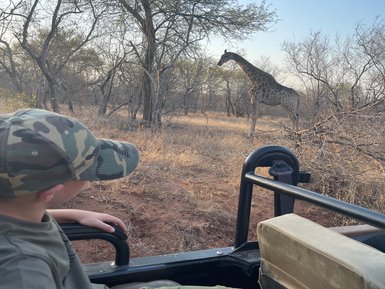 Ein Junge schaut fasziniert aus dem Safari-Jeep auf eine Giraffe im Kruger Nationalpark – Südafrika Reise mit Kindern