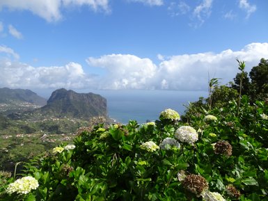 Eine atemberaubende Küstenlandschaft mit üppigen grünen Pflanzen und blühenden Hortensien vor einem majestätischen Berg.