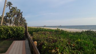 Ein malerischer Strandweg mit Palmen und üppigem Grün führt zum ruhigen Wasser des Golfs von Mexiko.