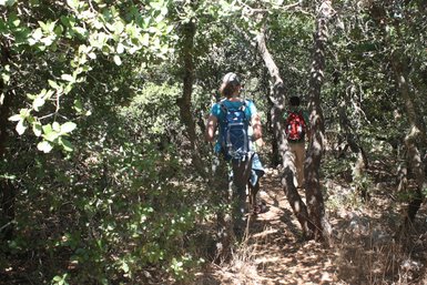 entdecken von Sträuchern und Pflanzen auf der Rasoun Route - Jordanien Urlaub mit Kindern