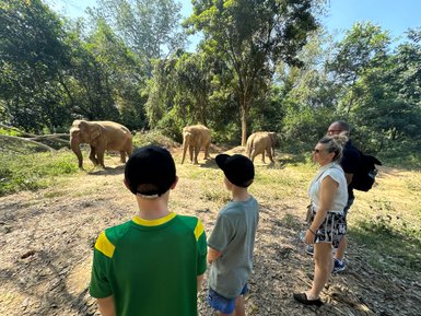 Begeisterte Familie schaut Elefanten in ihrer natürlichen Umgebung zu – Thailand mit Kindern