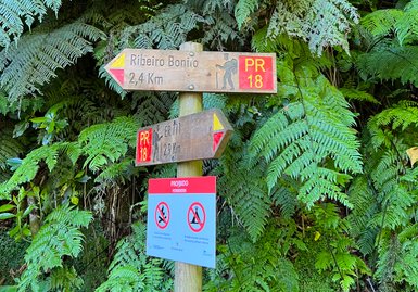 Ein Wegweiser zeigt die Richtung zum Ribeiro Bonito, umgeben von üppigem, grünem Farn und dichten Bäumen.