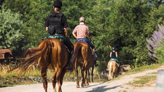 Eine Gruppe von Reitern auf braunen Pferden reitet einen schmalen Weg, umgeben von üppigem Grün und blühenden Pflanzen.