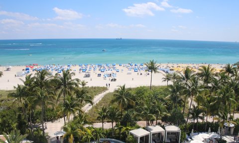 Ein sonniger Strand mit blauen und weißen Sonnenschirmen, umgeben von Palmen und einem klaren, türkisfarbenen Wasser.