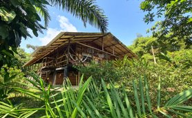 Ein rustikales Holzhaus mit einem schrägen Dach steht umgeben von üppigem, grünem Dschungel und strahlend blauem Himmel.