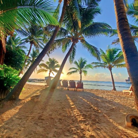 Ein malerischer Strand mit Palmen, Sonnenstrahlen, die durch die Blätter scheinen, und Liegestühlen am Wasser.