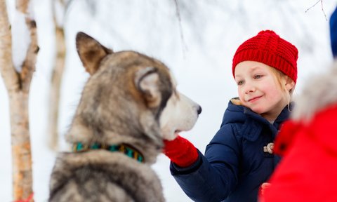 Mädchen mit Husky im Schnee - Estland mit Kindern